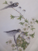 Mouchoir Oiseaux nid et branche 31x31 coton imprimé roulé main Lehner